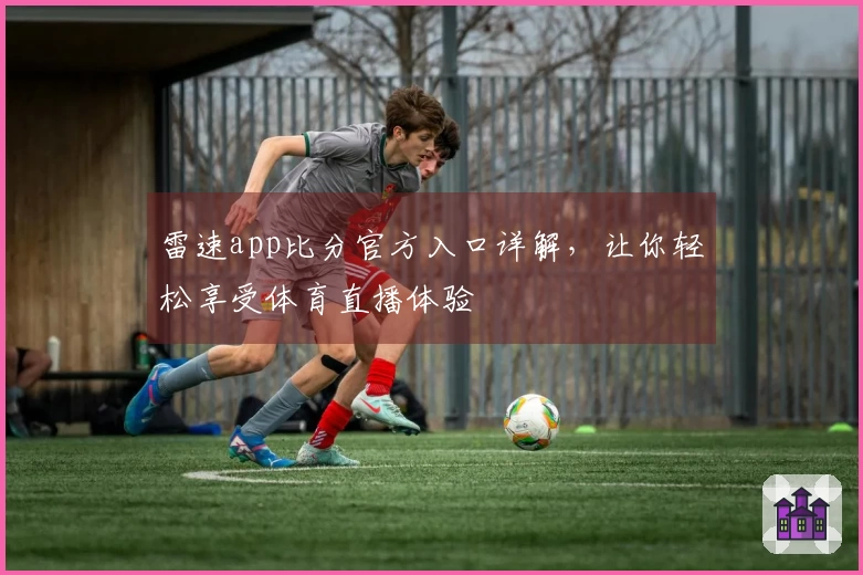 雷速app比分官方入口详解，让你轻松享受体育直播体验